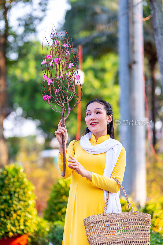 越南女孩穿着传统的ao dai服装，手持花枝在越南享受新年。春节和新年。